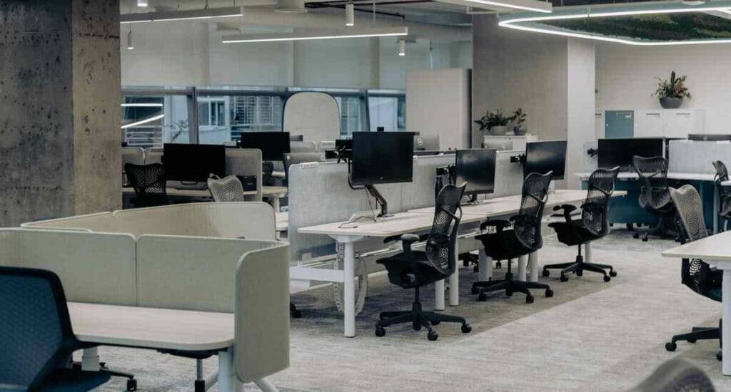 Outsourced team providing business and back-office support